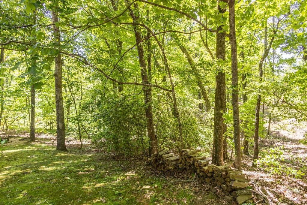 Pet Friendly Luxury Near Helen With Fire Pit Hébergement de vacances Cleveland