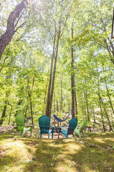 Hébergement de vacances Pet Friendly Luxury Near Helen With Fire Pit Cleveland