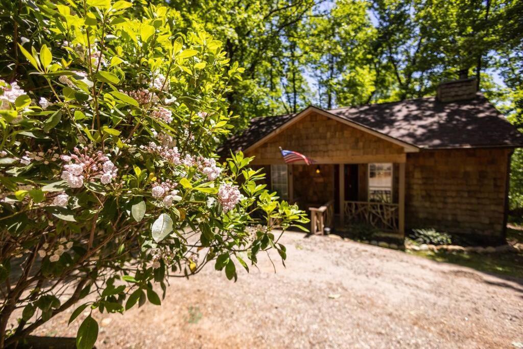 Pet Friendly Luxury Near Helen With Fire Pit Hébergement de vacances *